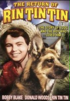 plakat filmu The Return of Rin Tin Tin