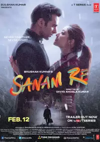 Plakat filmu Sanam Re