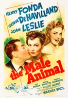 plakat filmu The Male Animal