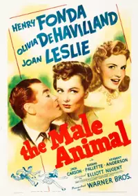 Plakat filmu The Male Animal