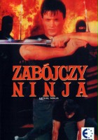 plakat filmu Zabójczy ninja