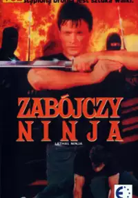 Plakat filmu Zabójczy ninja