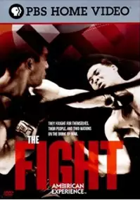 Plakat filmu The Fight