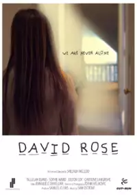 Plakat filmu David Rose