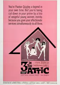 Plakat filmu Three in the Attic