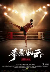 Plakat filmu Quan Ba Feng Yun