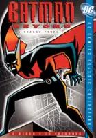 plakat - Batman - 20 lat później (1999)