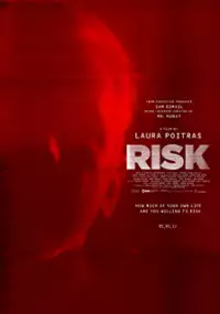 Plakat filmu Ryzyko