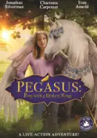 plakat filmu Pegasus: Pony with a Broken Wing