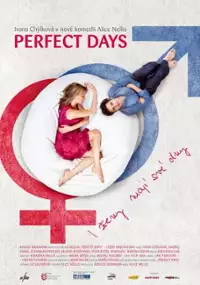 Plakat filmu Idealne dni