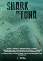 plakat filmu Rekin kontra tuńczyk
