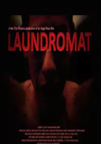 Plakat filmu Laundromat