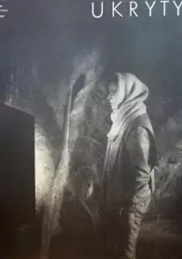 Plakat filmu Ukryty zamek