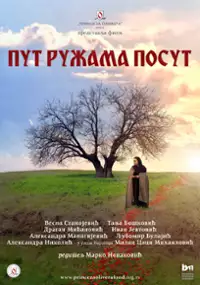 Plakat filmu Put Ruzama Posut