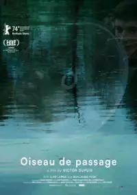 Plakat filmu Oiseau de passage