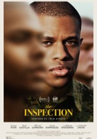 plakat filmu The Inspection