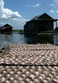 Plakat filmu Moje spotkania: Indonezja