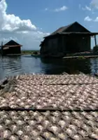 Roland Th&eacute;ron / Moje spotkania: Indonezja