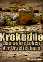 plakat filmu Krokodyle: Fascynujące życie pradawnych gadów