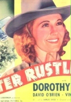 plakat filmu Water Rustlers