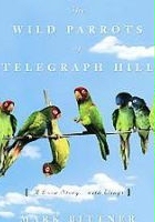 plakat filmu The Wild Parrots of Telegraph Hill