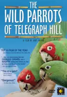 Judy Irving / The Wild Parrots of Telegraph Hill
