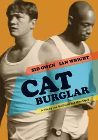 Plakat filmu Cat Burglar
