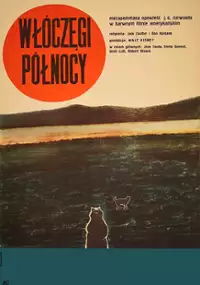 Plakat filmu Włóczęgi północy