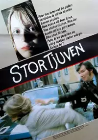 Plakat filmu Stortjuven