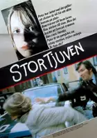 plakat filmu Stortjuven