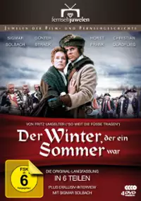 Plakat serialu Der Winter, der ein Sommer war