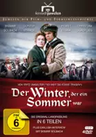 plakat serialu Der Winter, der ein Sommer war