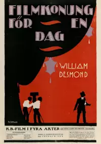 Plakat filmu The Iced Bullet