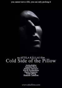 Plakat filmu Cold Side of the Pillow