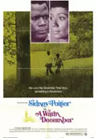 Peter Pitt / A Warm December