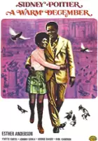 plakat filmu A Warm December
