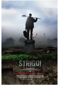 Plakat filmu Strigoi