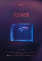 plakat filmu The Moon Also Rises