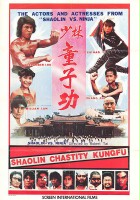 plakat filmu Shao Lin tong zi gong