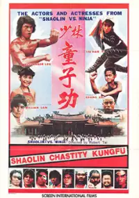 Plakat filmu Shao Lin tong zi gong