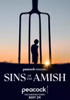plakat serialu Sins of the Amish