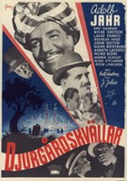 plakat filmu Djurgårdskvällar