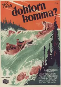 Plakat filmu Kan doktorn komma?
