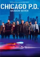 plakat - Chicago P.D. (2014)