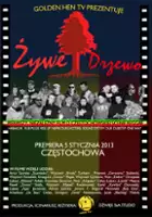 Bogumił &quot;Bob One&quot; Morawski / Żywe drzewo