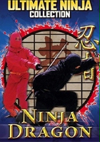 plakat filmu Ninja Dragon