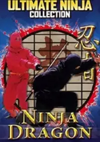 Plakat filmu Ninja Dragon