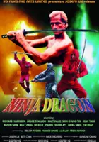 plakat filmu Ninja Dragon