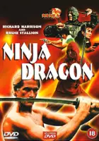 plakat filmu Ninja Dragon