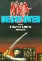 plakat filmu Ninja Destroyer